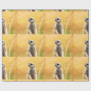 Search for meerkat wrapping paper Cute