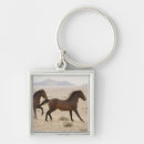 Search for wild key rings Mammal