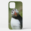 Search for puffin iphone cases Birds