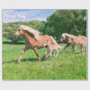 Search for foal wrapping paper Animal