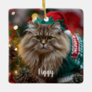 Search for norwegian gifts Norwegian forest cat