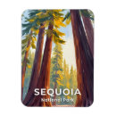 Search for sequoia national park magnets Usa