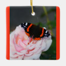Search for admiration christmas tree decorations Butterfly