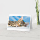 Search for rescue christmas cards Kitty