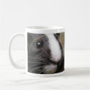 Search for pig face mugs Cavy