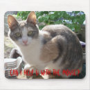 Search for help with the mouse mats Cat