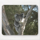 Search for cuddly mouse mats Photograph