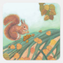 Search for cute squirrel stickers Wildlife