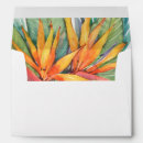 Search for bird of paradise Floral