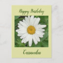 Search for happy birthday daisy flower postcards Blooms