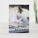 Search for ragdoll kitten cards Sleeping