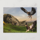 Search for firing postcards Dragon