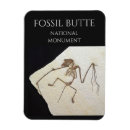 Search for fossils magnets Geology
