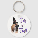 Search for afghan hound stuff accessories Animals