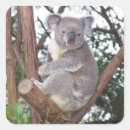Search for aussie wildlife stickers Down under