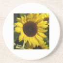 Search for sunflower coasters Bright