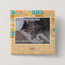 Search for you like this badges I can has cheezburger