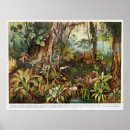 Search for plant drawing posters Nature
