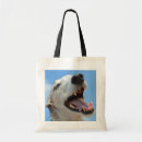 Search for greyhound bags Funny