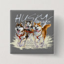 Search for sled badges Dog