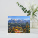 Search for new zealand landscape postcards Flowers