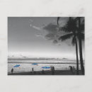 Search for black and white palm trees postcards Hawaii