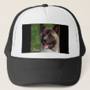 Search for akita hats Pets