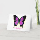 Search for flying insects cards Colourful