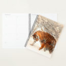 Search for tiger office supplies Com