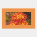 Search for orange marigold stickers Fall