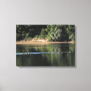 Search for geese canvas prints Goose