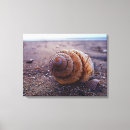 Search for spiral canvas prints Ocean