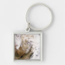 Search for dust key rings Clouds