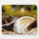 Search for mushroom mouse mats Brown
