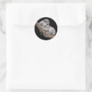 Search for tree background stickers Cute