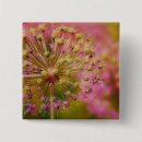 Search for surreal square badges Flower