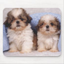 Search for blanket mouse mats Cute