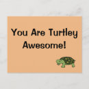 Search for funny turtle postcards Awesome