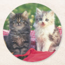 Search for blankets coasters Kitten