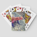 Search for lizard playing cards Nature