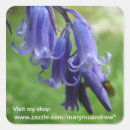 Search for bluebell stickers United kingdom