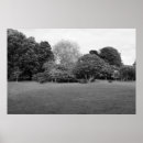 Search for magpie posters Black and white