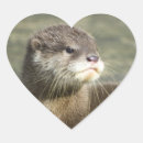 Search for baby otter stickers Cute