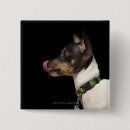Search for canines badges Nature