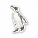 Search for vector penguin Animal