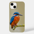 Search for kingfisher iphone cases Blue
