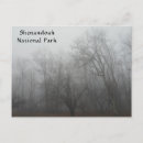 Search for eerie postcards Foggy