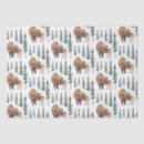 Search for pine tree tissue paper Pattern