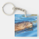 Search for ecology key rings Wildlife