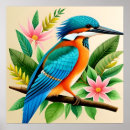 Search for kingfisher posters Colorful